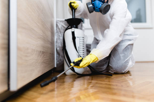 Best Wasp Removal Services  in Windham, OH