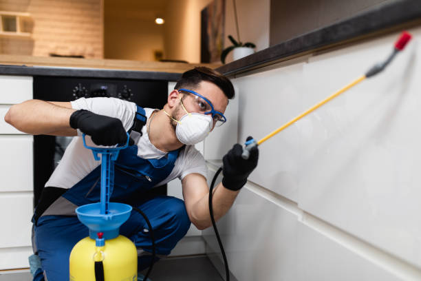 Best Rat Extermination Near Me  in Windham, OH