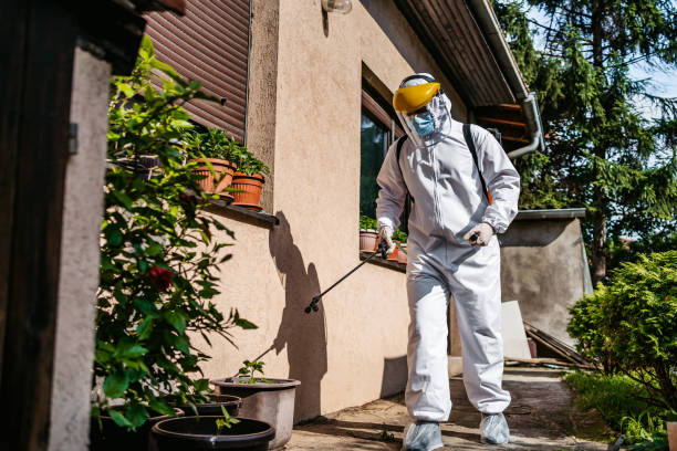Best Commercial Pest Control Services  in Windham, OH
