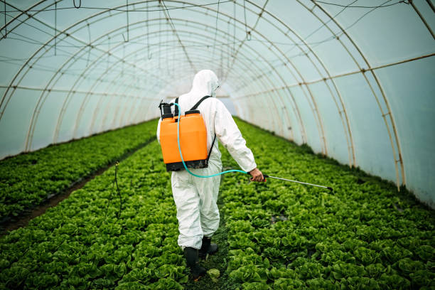 Best Affordable Pest Control Services  in Windham, OH