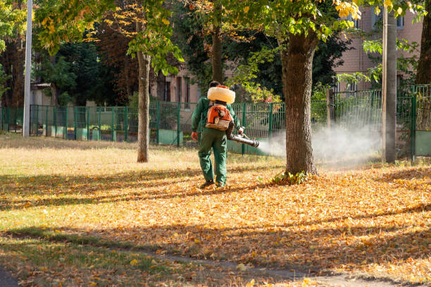 Best Pest Prevention Services  in Windham, OH