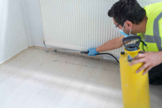 Best Exterminator Services  in Windham, OH